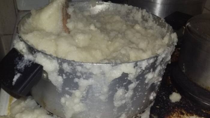 "Food is expensive": Lady shares pap she made for bae, SA's totally unimpressed