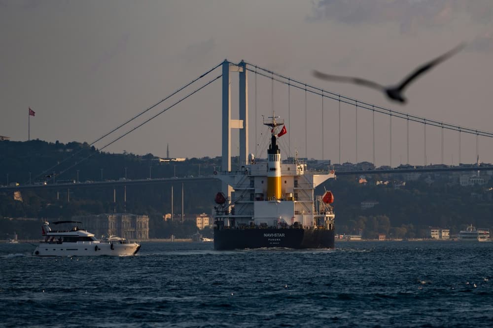 The first 12 Ukrainian grain ships to sail through the Bosphorus Strain were carrying corn instead of wheat