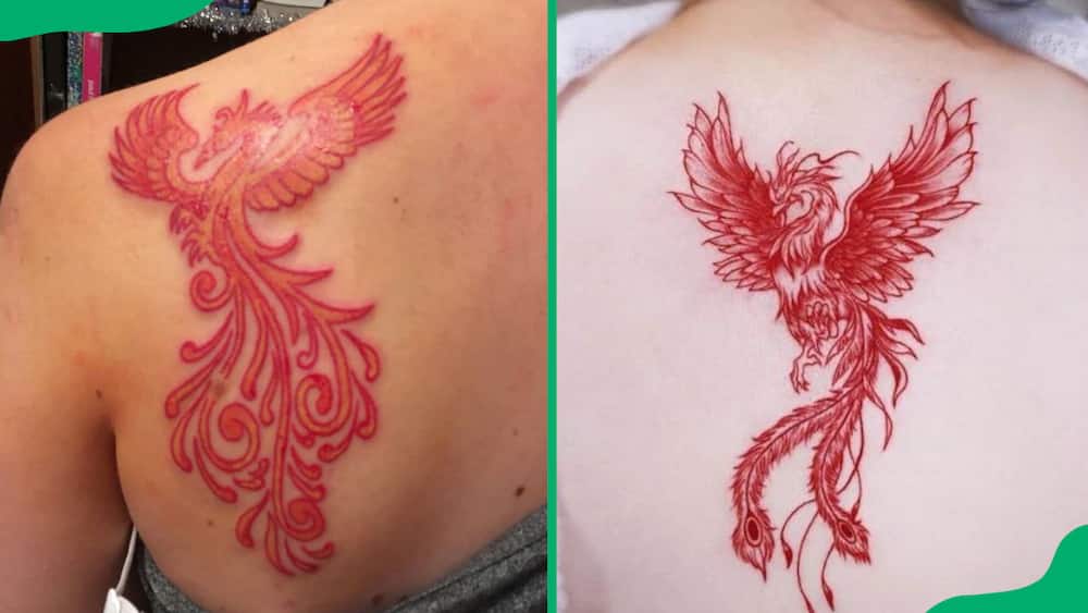 Red phoenix tattoos