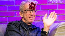 Andy Dick net worth, age, kids, wife, tattoos, TV shows, comedian