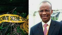 Senior AmaZulu royal family member shot and killed in KZN, sparks concern in Mzansi