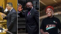 DA and EFF believe Ramaphosa has no trust in ANC ministers as he appoints outside experts to lead teams