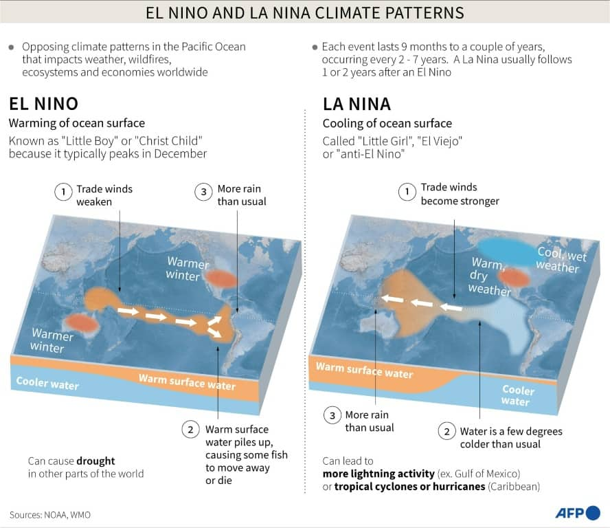 UN warns world to prepare for El Nino impact Briefly.co.za