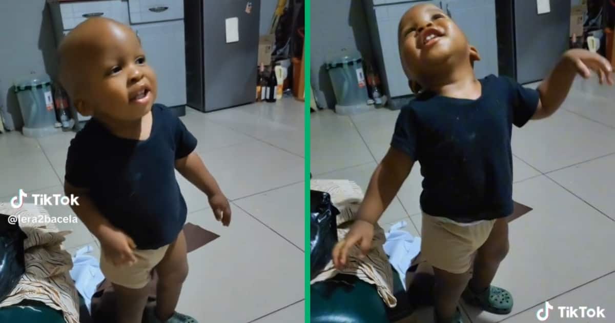 Skomota Dance: Toddler Nails Viral Moves in Funny TikTok Video, Mzansi ...
