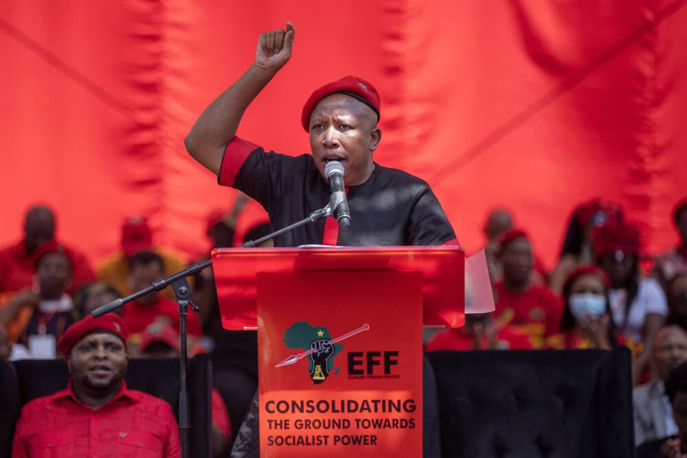 Julius Malema, EFF, Stellenbosch, Local government elections, wine farms