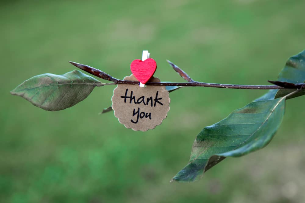 100 Best Thank-You Messages and Quotes for Every Occasion