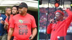 No political party will win majority in KwaZulu-Natal: Economic Freedom Fighters