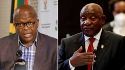 Ramaphosa is working to make SA work efficiently, say political analysts, Gungubele to head SSA