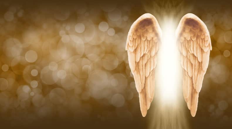 Golden Angel's wings