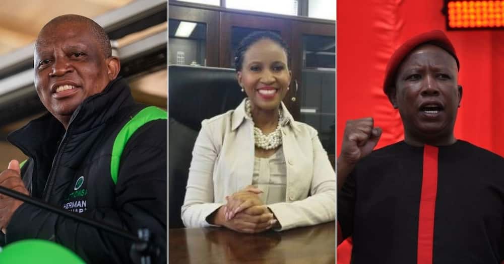 EFF, ActionSA, DA, Herman Mashaba, Julius Malema, Mpho Phalatse