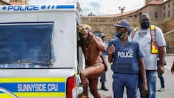 Khoisan man arrested for 'growing cannabis' at Union Buildings feels violated