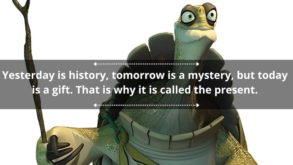 Master Oogway's wise words