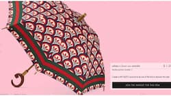Gucci, Adidas Cause Uproar After Launching R20k Umbrella that's Not Waterproof