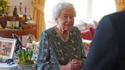 Queen Elizabeth II trends as SA questions reports about British monarch passing away