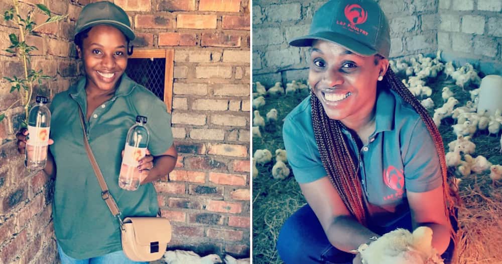 Pretoria female farmer has challenges with her business
