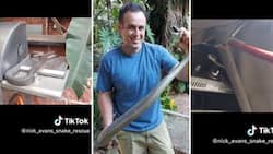 Snake sitting on gas braai has TikTok users in shock, Nick Evans to the rescue: “That’s a big black mamba”