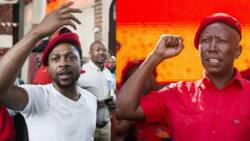 Julius Malema and Mbuyiseni Ndlozi back in court for 2018 assault case