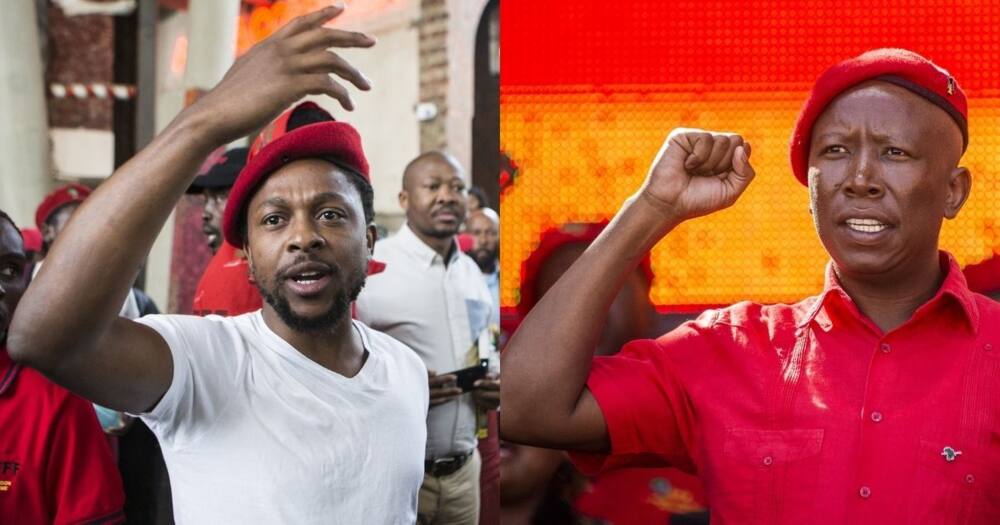 Julius Malema and Mbuyiseni Ndlozi back in court for 2018 assault case
