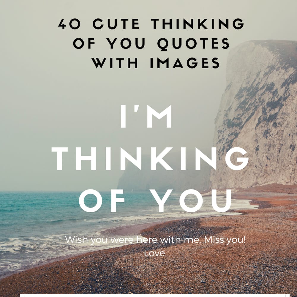 40 cute thinking of you quotes with images - Briefly.co.za