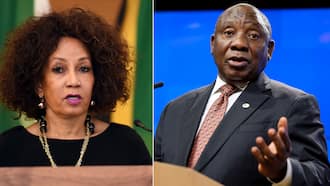 "The comedy show continues": South Africans entertained by opposing statements made by Sisulu and Ramaphosa