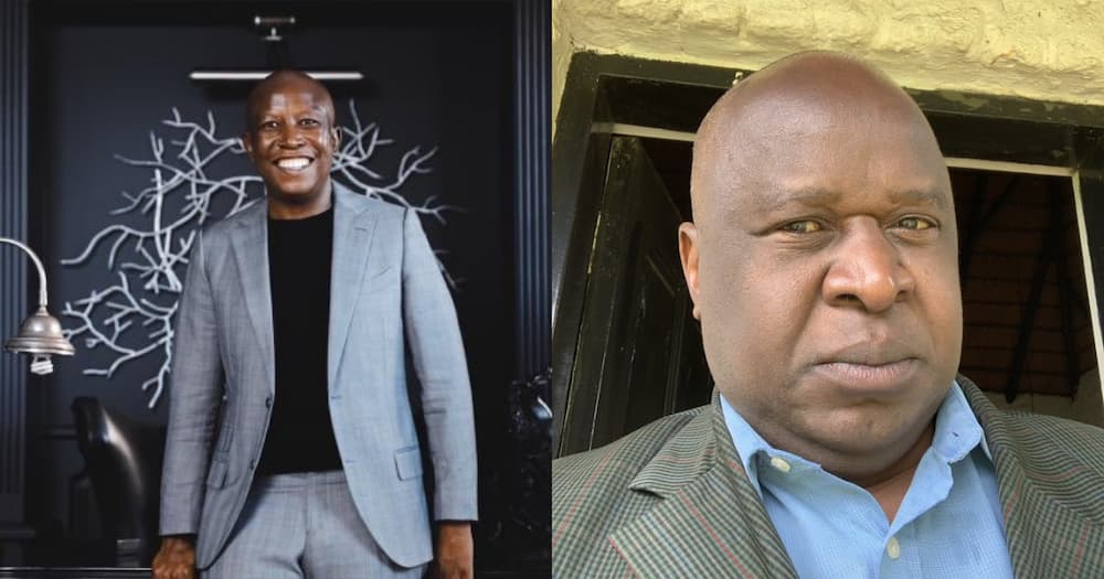 Malema Starts Monday off by Taking a Jab at Mboweni and His Bald Head
