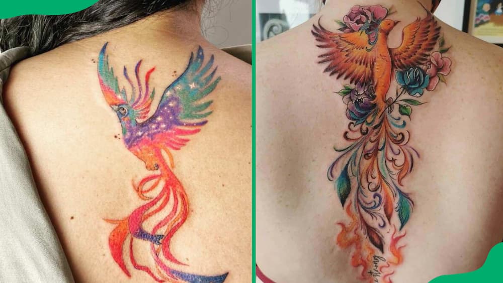 Coloured phoenix tattoo on the back