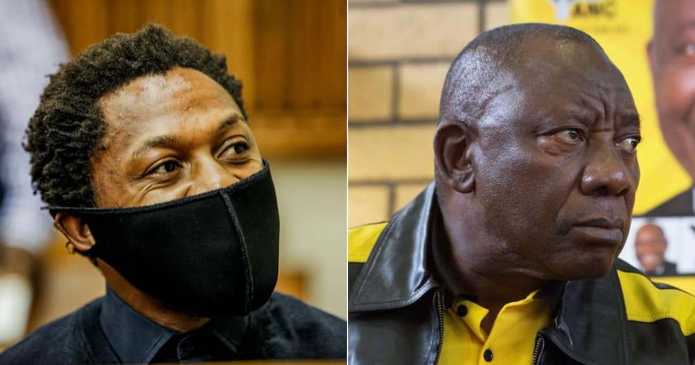 Mbuyiseni Ndlozi, Cyril Ramaphosa, "Dull", Criticised, Twitter reactions