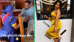 South African woman perfectly embraces dual roles of city wife and village wife in TikTok video