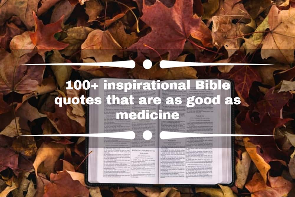 Bible quotes