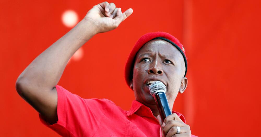 EFF, Julius Malema, restaurants, security industries, employment ratio check, foreign nationals