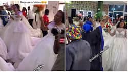 Desperate single ladies rock wedding gowns in church as they pray for husbands, video goes viral