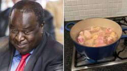 Tito Mboweni has South Africans cracking jokes after drowning a chicken braai pack in a pot, again