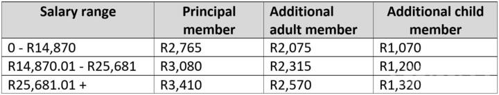 gems-medical-aid-schemes-get-a-detailed-overview-for-2023-briefly-co-za