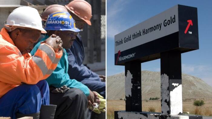 4 Employees killed in dam wall collapse at Harmony Gold's Kusasalethu mine, investigations underway