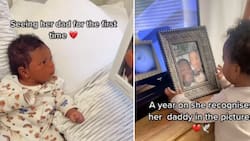 Heart-wrenching clip of baby noticing her late father in a picture whom she never met melts hearts