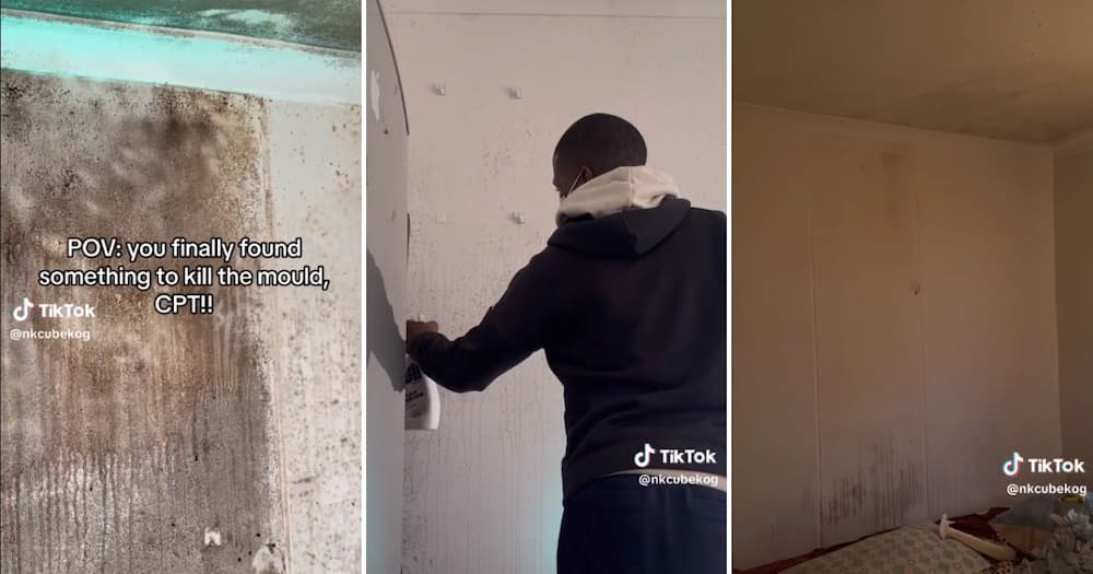 man cleaning mold on walls