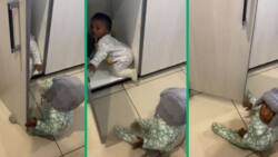 Adorable clip of twins’ hilarious hide-and-seek in cupboard causes a stir