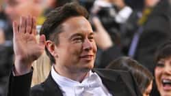 Elon Musk bans links to Twitter’s rival social media platforms including Facebook, Instagram