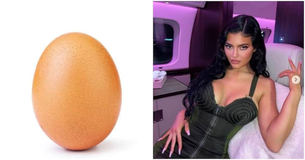 Photo of egg.