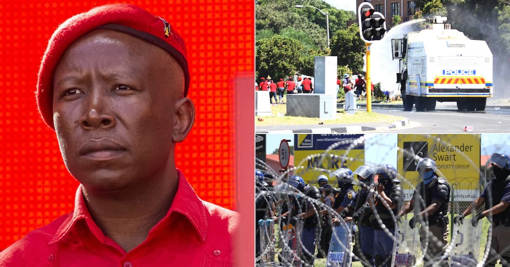 Julius Malema charged with terrorism for 'threats' against police
