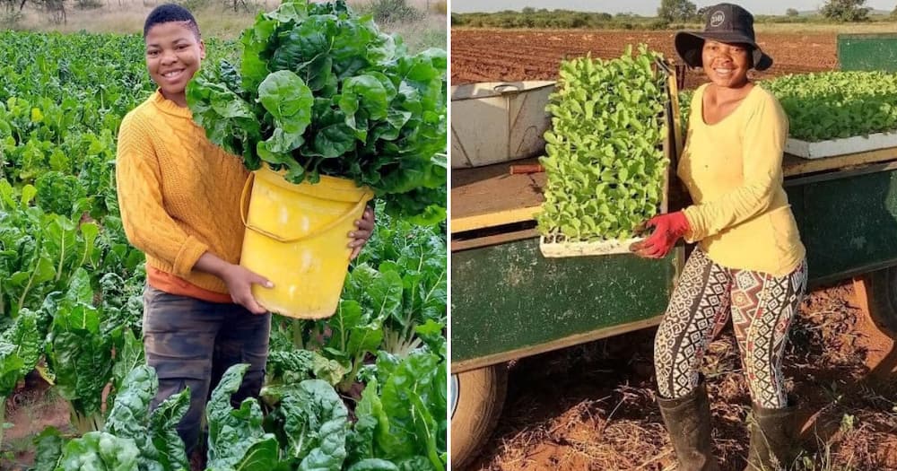 The lady is a successful veggie farmer in Limpopo