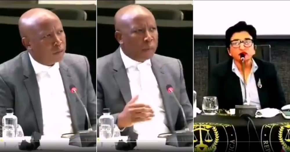 A video of EFF Leader Julius Malema roasting judge candidate Dhaya Pillay is going viral on social media. Image: Twitter