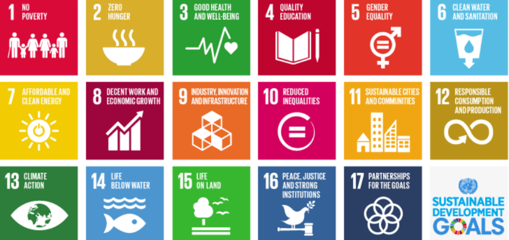 Briefly News Becomes UN Sustainable Development Goals Media Compact Member