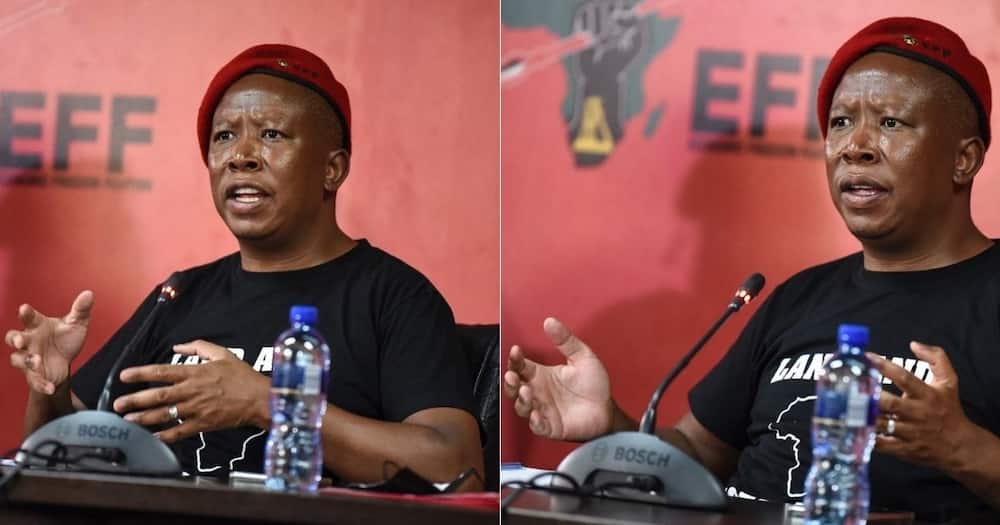 Explained: Julius Malema addresses use of white lawyers by EFF