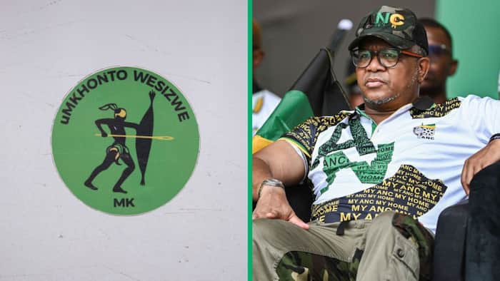 MK Party not concerned the ANC will appeal the trademark logo judgement