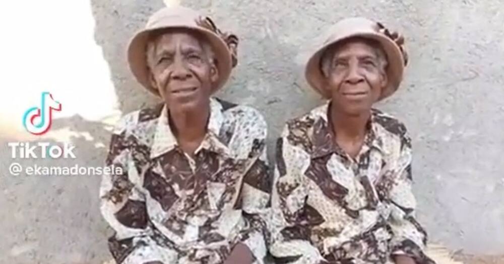 elderly twins