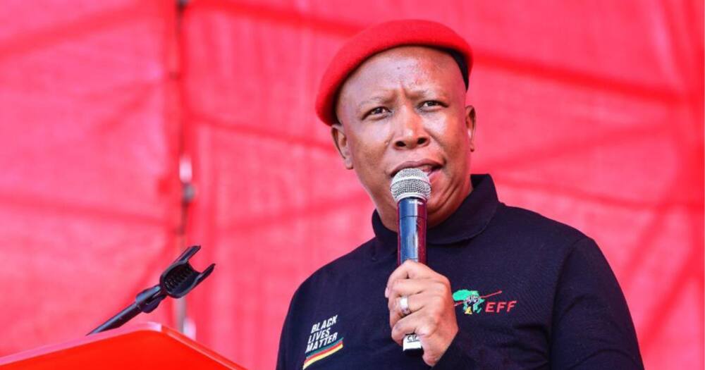 Julius Malema, slams government, Freedom day rally, EFF, Tshwane, political freedom, economic freedom