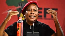 EFF rules out forming a coalition with ANC, accuses ruling party of acting in bad faith