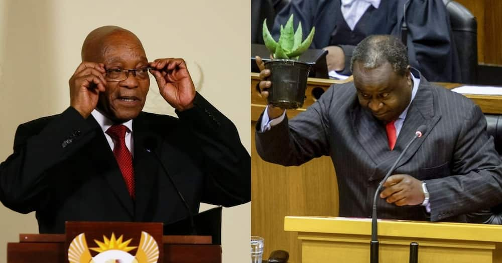 Mzansi, pokes fun, hilarious doctored pic of tea at Zuma's