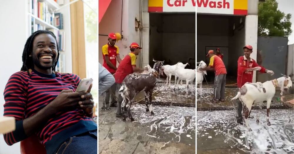 Video, Petrol Attendants, Washing Goats Video, Petrol Attendants, Washing Goats